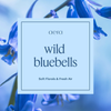 Wild Bluebells Mini